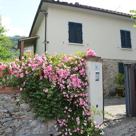 Casa1 Villa Monsummano Terme Ngoại thất bức ảnh